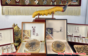 Mua đông Trùng Hạ Thảo ở đâu Chất Lượng Và Giá Tốt Nhất?